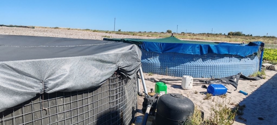 3 Bedroom Property for Sale in Hopefield Rural Western Cape